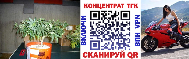 Купить закладки  Чудово  Дистиллят ТГК вейп 